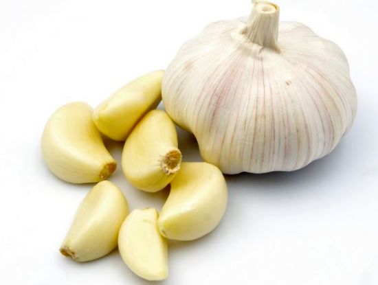 Garlic2