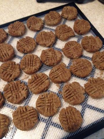 Thrive Kitchen, Raw Ginger Snaps, Pic VI