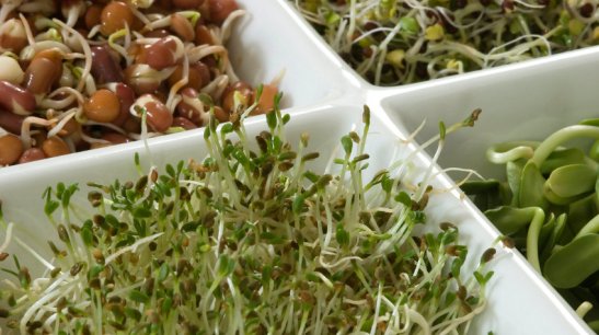 istock_000003414126small_wide-4f548bc5cbf81fbf8d70c42b621778a0de6d6b2d-s900-c85