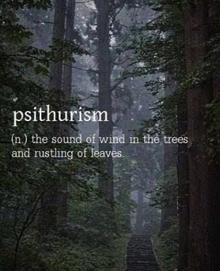 72627068_2322305197896811_2386902481041883136_n